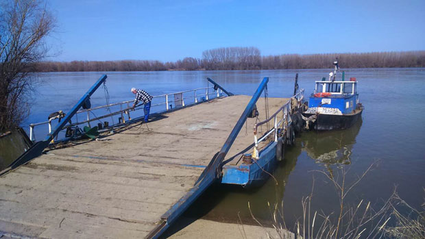 ПОСКУПЕО ПРЕВОЗ ПРЕКО ДУНАВА: Скелом до њиве за 800 динара! 